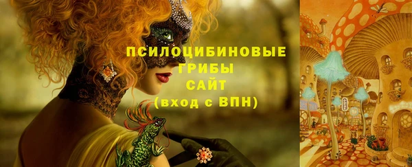 герыч Шарыпово