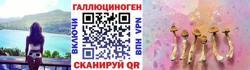 Галлюциногенные грибы Psilocybe  Купить где  Полярные Зори 